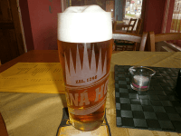 Hodnocené pivo