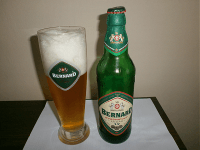 Hodnocené pivo