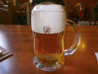 Hodnocené pivo