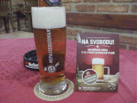 Hodnocené pivo