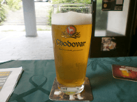 Hodnocené pivo